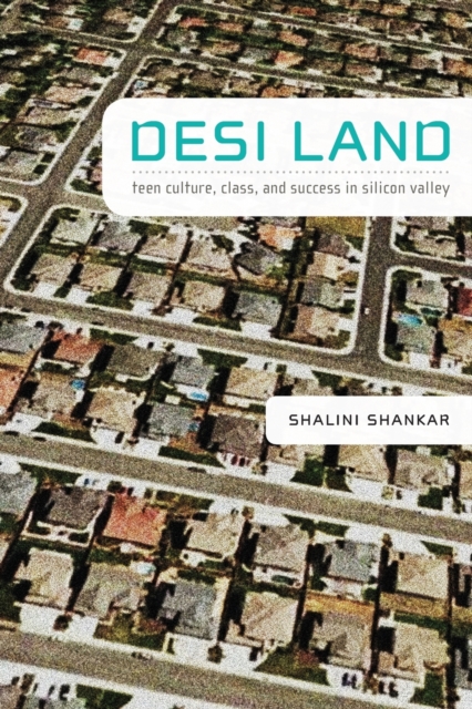 Desi Land: Teen Culture, Class, and Success in Silicon Valley - Shalini Shankar