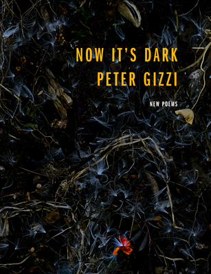 Now It's Dark - Peter Gizzi