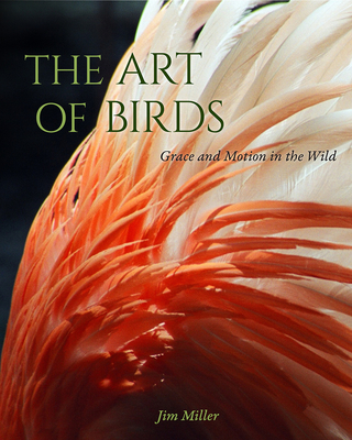 The Art of Birds: Grace and Motion in the Wild - Jim Miller