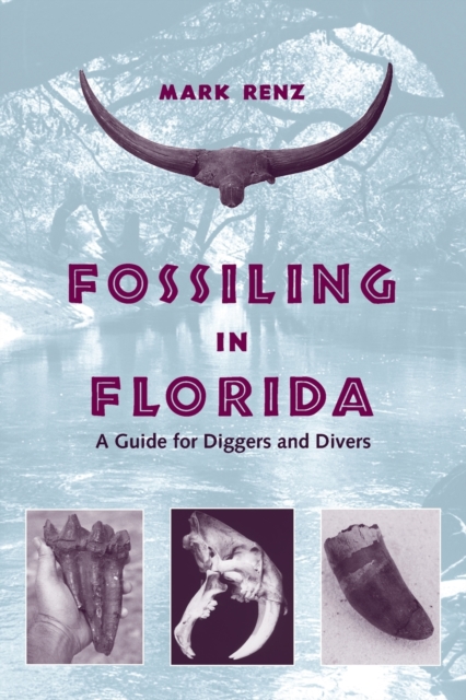 Fossiling in Florida: A Guide for Diggers and Divers - Olin Mark