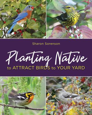 Planting Native to Attract Birds to Your Yard - Sharon Sorenson