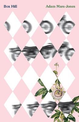 Box Hill: A Story of Low Self-Esteem - Adam Mars-jones