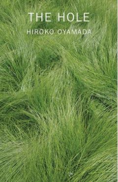 The Hole - Hiroko Oyamada