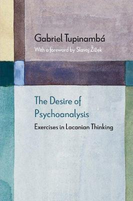 The Desire of Psychoanalysis: Exercises in Lacanian Thinking - Gabriel Tupinamb�