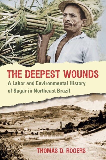 The Deepest Wounds: A Labor and Environmental History of Sugar in Northeast Brazil - Thomas D. Rogers