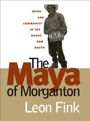 The Maya of Morganton: Work and Community in the Nuevo New South - Leon Fink