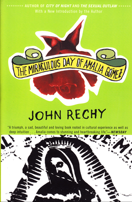 The Miraculous Day of Amalia G�mez - John Rechy