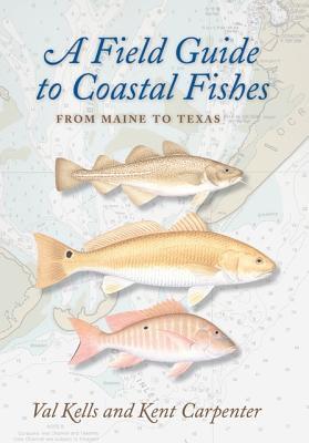 A Field Guide to Coastal Fishes: From Maine to Texas - Valerie A. Kells