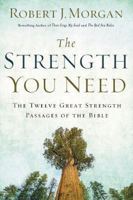 The Strength You Need: The Twelve Great Strength Passages of the Bible - Robert J. Morgan