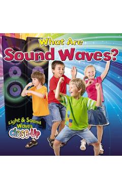 What Are Sound Waves? - Robin Johnson