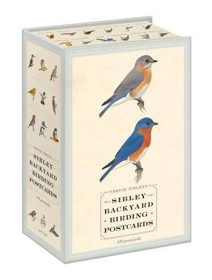 Sibley Backyard Birding Postcards: 100 Postcards - David Sibley