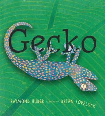 Gecko - Raymond Huber