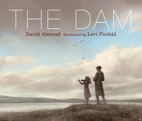 Coperta cărții 'The Dam - David Almond'