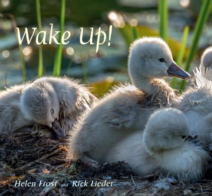 Wake Up! - Helen Frost