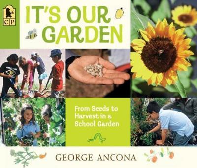 It's Our Garden: From Seeds to Harvest in a School Garden - George Ancona