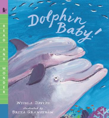 Dolphin Baby! - Nicola Davies