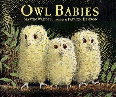 Owl Babies - Martin Waddell