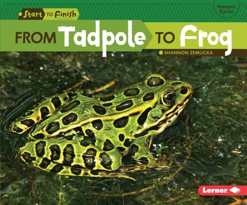 From Tadpole to Frog - Shannon Zemlicka