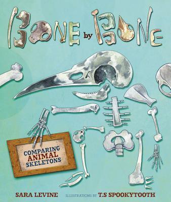 Bone by Bone: Comparing Animal Skeletons - Sara Levine