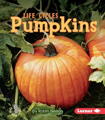 Pumpkins - Robin Nelson