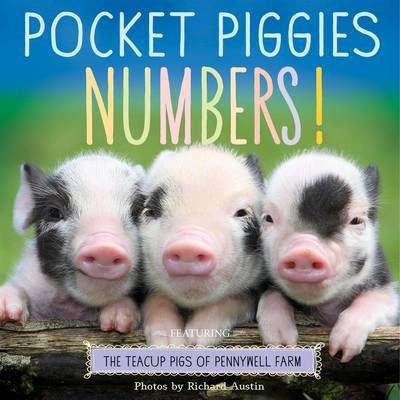 Pocket Piggies Numbers!: Featuring the Teacup Pigs of Pennywell Farm - Richard Austin
