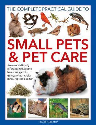 The Complete Practical Guide to Small Pets and Pet Care: An Essential Family Reference to Keeping Hamsters, Gerbils, Guinea Pigs, Rabbits, Birds, Rept - David Alderton