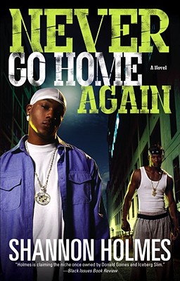 Never Go Home Again - Shannon Holmes