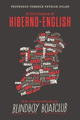 A Dictionary of Hiberno English - Terence Dolan