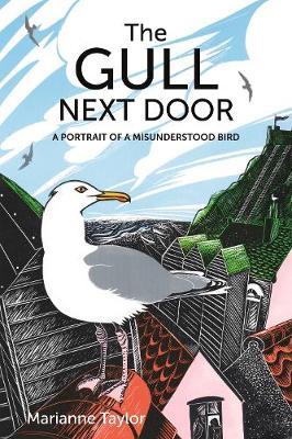 The Gull Next Door: A Portrait of a Misunderstood Bird - Marianne Taylor