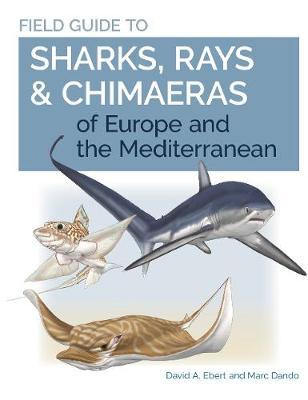 Field Guide to Sharks, Rays & Chimaeras of Europe and the Mediterranean - David A. Ebert