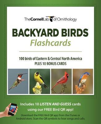 Backyard Birds Flash Cards - Eastern & Central North America - Cornell Lab Of Ornithology