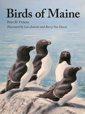 Birds of Maine - Peter Vickery