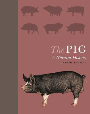The Pig: A Natural History - Richard Lutwyche