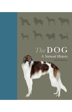 Coperta cărții 'The Dog: A Natural History - �d�m Mikl�si'