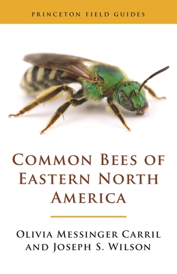 Common Bees of Eastern North America - Olivia Messinger Carril