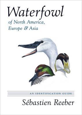 Waterfowl of North America, Europe, and Asia: An Identification Guide - S�bastien Reeber