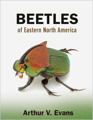 Beetles of Eastern North America - Arthur V. Evans