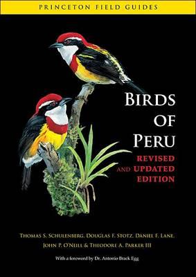 Birds of Peru - Thomas S. Schulenberg