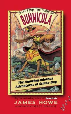 The Amazing Odorous Adventures of Stinky Dog - James Howe