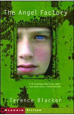 Coperta cărții 'The Angel Factory - Terence Blacker'