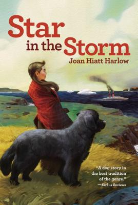 Star in the Storm - Joan Hiatt Harlow