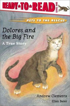 Dolores and the Big Fire: Dolores and the Big Fire - Andrew Clements