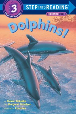 Dolphins! - Sharon Bokoske