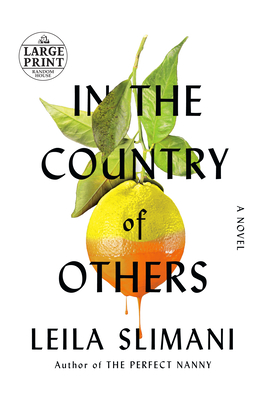 In the Country of Others - Leila Slimani