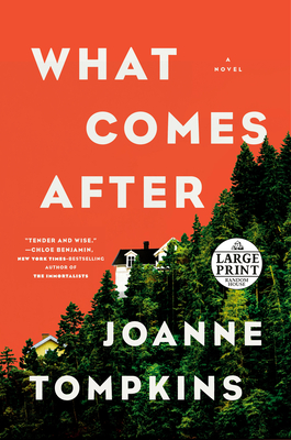 What Comes After - Joanne Tompkins