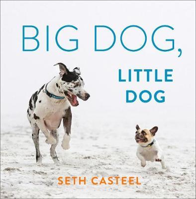 Big Dog, Little Dog - Seth Casteel