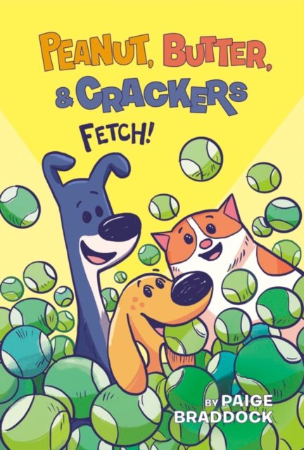 Coperta cărții 'Fetch! - Paige Braddock'
