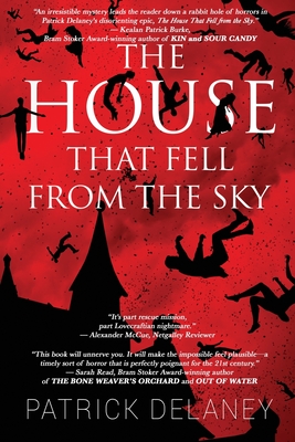 The House that fell from the Sky - Patrick Delaney