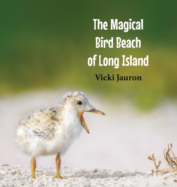 The Magical Bird Beach of Long Island: A Children's Rhyming Picture Book About Shore Birds on Long Island - Vicki Jauron