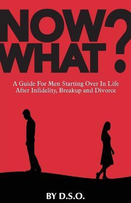 Now What?: A Guide for Men Starting Over in Life After Infidelity, Breakup and Divorce - Dso